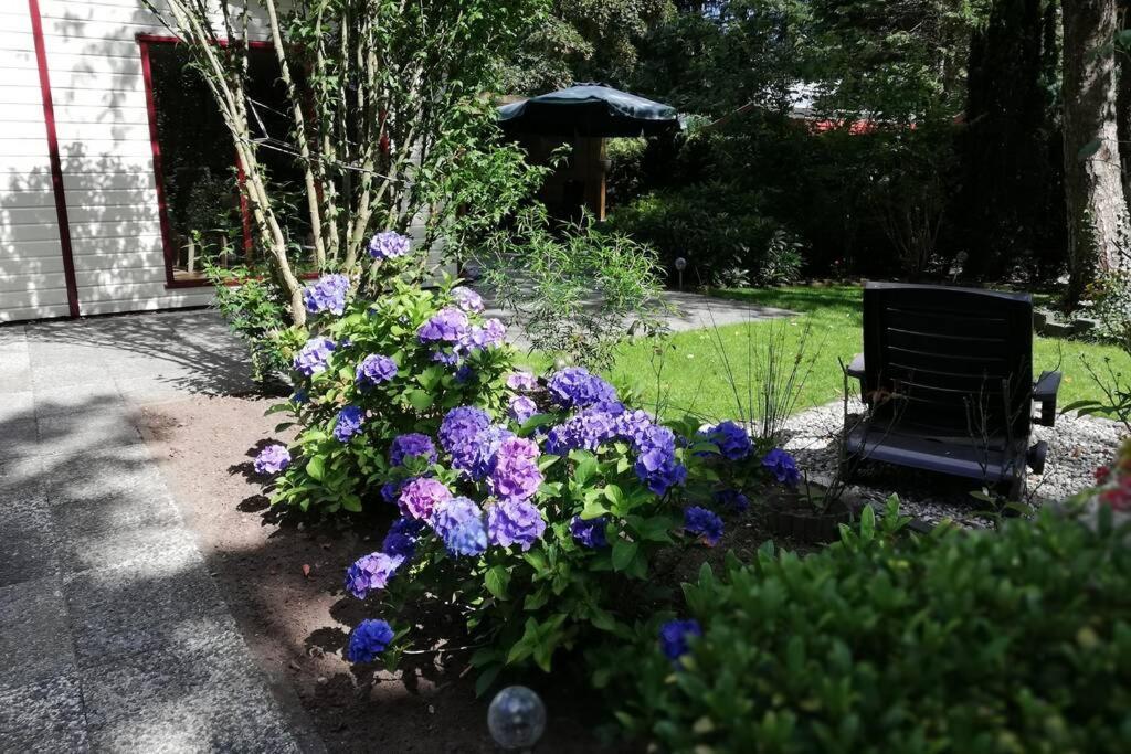 Roodborstje 4 persoonschalet Putten Exterior foto